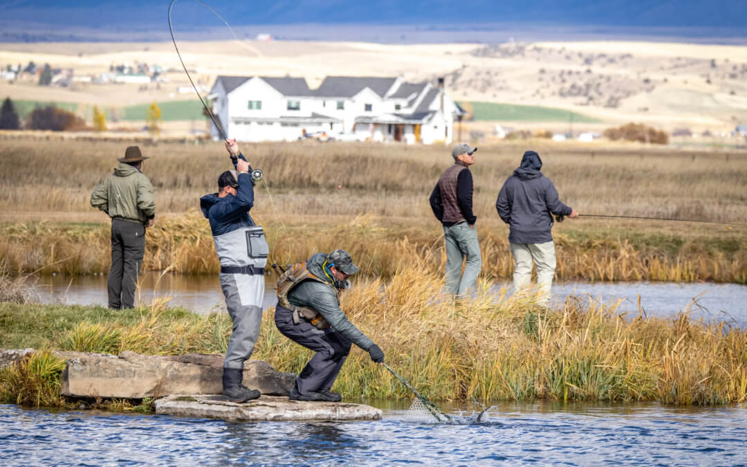 Veterans Day – Warriors & Quiet Waters