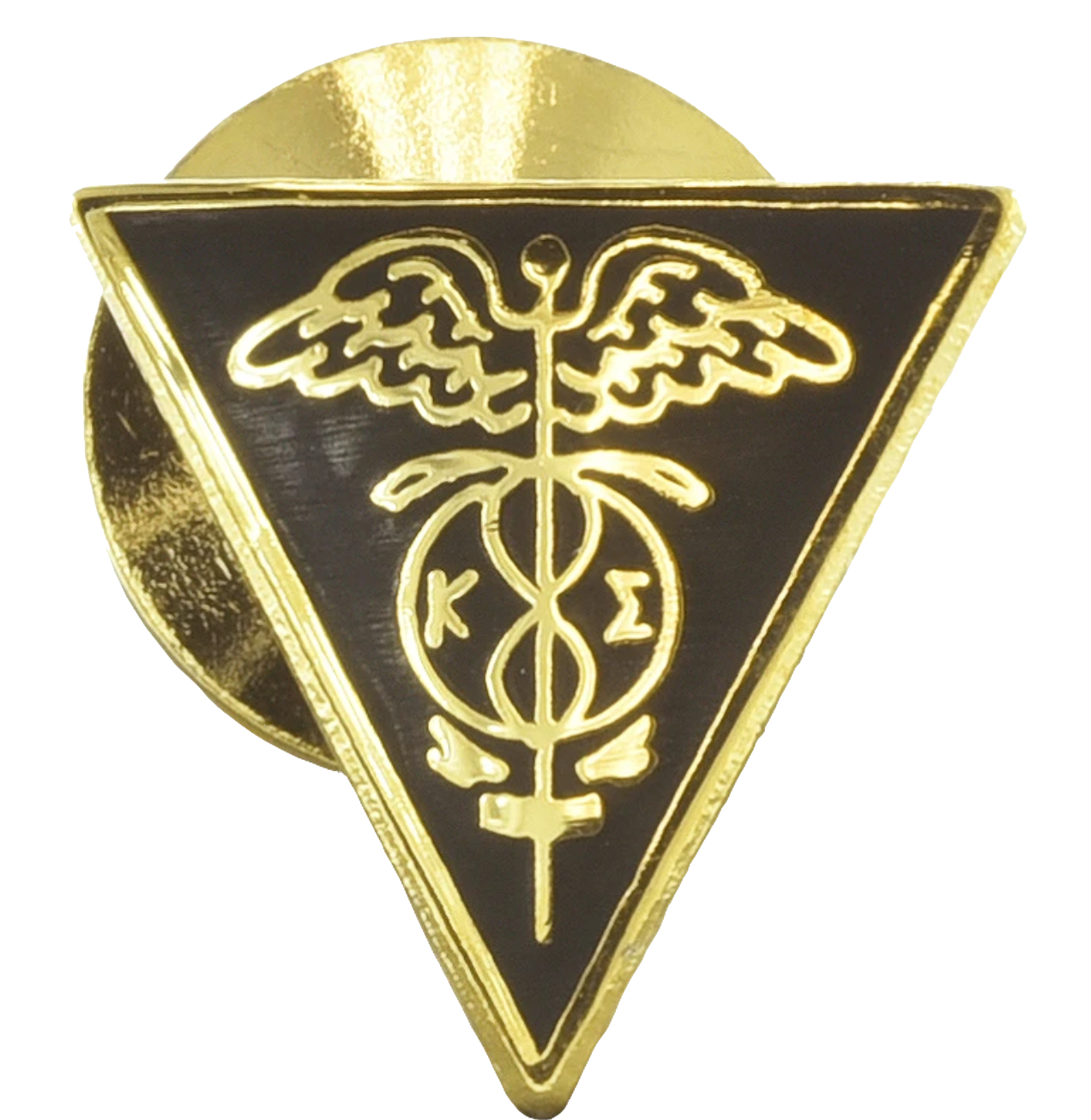 Pledge pin